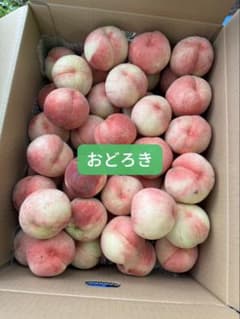 桃 おどろき 5kgクール便発送 おどろき 桃 5kg クール便発送 - メルカリ