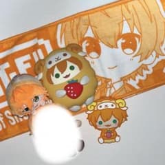 m16299168756_1.jpg?1704382778