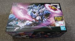 HG 1/144 ギャンシュトローム アグネス機 ガンプラ