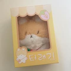 未開封 トレギ ベッキョン - メルカリ