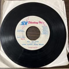reggaeレコード3枚セット reggaeレコード3枚セット - メルカリ