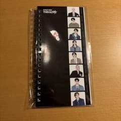 Stray Kids THIS&THAT フォトブック