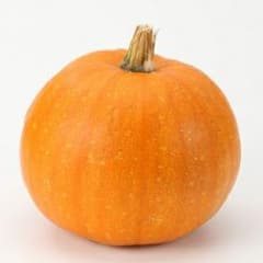 ハロウィンかぼちゃ種20粒入りのサムネイル