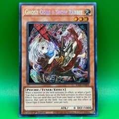 m16305670828_1.jpg?1726676774