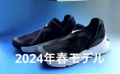 Nike  ナイキ  ゴー フライヤーズ  28cmのサムネイル