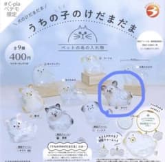 うちの子のけだまだま チワワのサムネイル