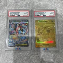 PSA10連番】メガゲッコウガex SAR メガゲッコウガex MUR - メルカリ