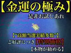 金運金亀】高額当選 特級呪物 曰く付き チョウピラコ 座敷童子 呪画