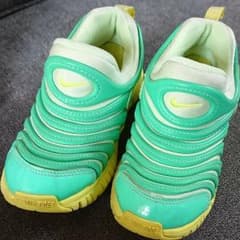 さみちゃん様専用 NIKE ナイキ ダイナモフリーのサムネイル