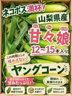 a100 朝採り ハウス ヤングコーン 12〜15本 ベビーコーン 野菜 - メルカリ