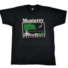 80s USA製 SCREEN STARS モントレー スーベニア Tシャツ Lのサムネイル