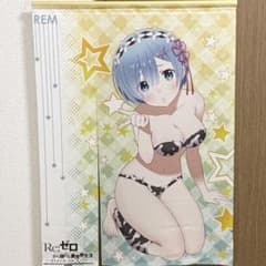 Re:제로부터 시작하는 이세계 생활 리제로 렘 태피스트리 한정판 특전