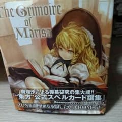 東方project スペルカード撰集*ニヤケル猫様専用*のサムネイル