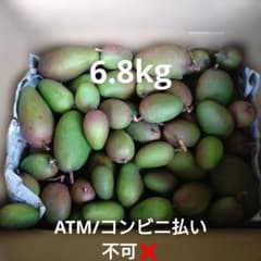 宮崎県産 摘花 グリーン マンゴー 6.8kg - メルカリ