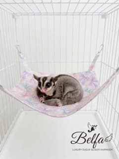 Belfa 小動物用 ハンモック リボン柄のサムネイル