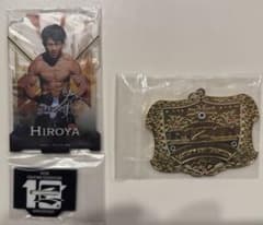 RIZIN 1번 복권 B상 히로야 아크릴 스탠드 D상 메탈 매력