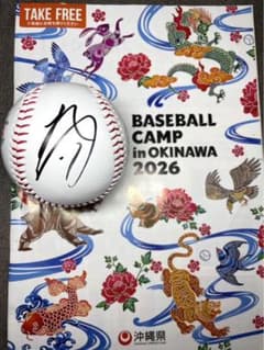 日本ハムファイターズ 伊藤大海 直筆サインボール 2026 沖縄キャンプ