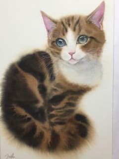 猫　水彩画のサムネイル