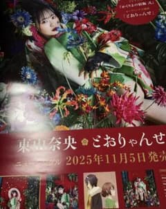 東山奈央 とおりゃんせ 抽選会 B賞 B2告知ポスター 東山奈央 とおりゃんせ 抽選会 B賞 B2告知ポスター - メルカリ