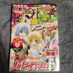 週刊少年サンデー 2007年8号 ハヤテのごとく！のサムネイル