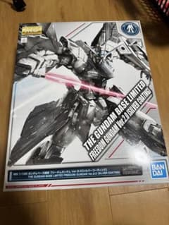 MG 1/100 프리덤 건담 ver.2.0 실버 코팅