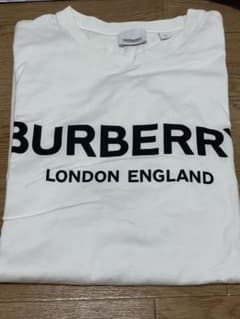 【しょぴ様専用】Burberry tシャツ　XLのサムネイル