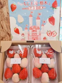 栃木県産　紅白いちご　詰め合わせのサムネイル