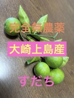 すだち　完全無農薬　①のサムネイル