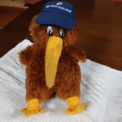 Air New Zealand original "Kiwi plush toy" (vintage)