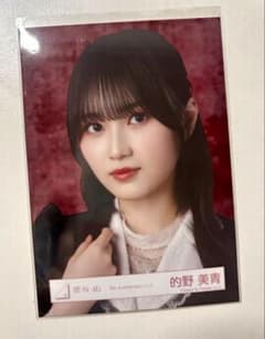 櫻坂46 sakurazaka46 的野美青 生写真 5thアニラ ドレス 匿名 - メルカリ