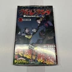 비질란테 13 권