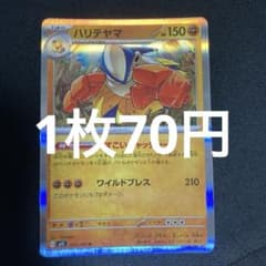 Harite Yama Dokoi Catcher