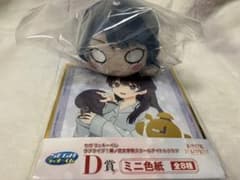 セガくじ 村野さやか 寝そべり B賞ぬいぐるみ D賞色紙 セットのサムネイル