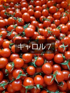 和歌山産ミニトマト キャロル7 1キロ - メルカリ