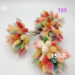 105 ドライフラワーラグラスミックスカラー150本 - メルカリ