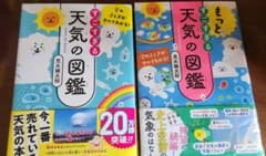 すごすぎる天気の図鑑 もっとすごすぎる天気の図鑑 2冊セットのサムネイル