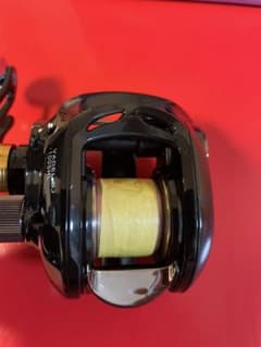 ダイワ　ヴァデルBJ 100SH Lのサムネイル