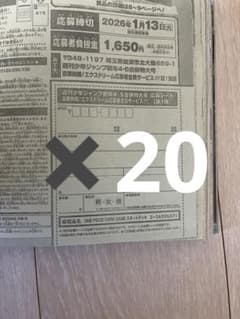 週刊少年ジャンプ 2026年4・5号 ONE PIECE 応募シート20枚セット