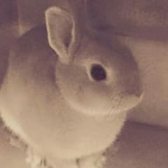 さっちゃん様専用です。のサムネイル