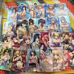 c104 ネクストン　Lycee 夏のてんこ盛りパックRe   25種類のサムネイル