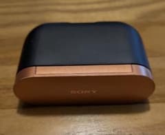 ジャンク品】 Sony ワイヤレスイヤホン WF-1000XM3 - メルカリ