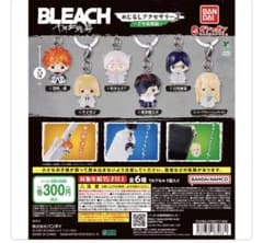 BLEACHめじるしアクセサリーコンプセットのサムネイル