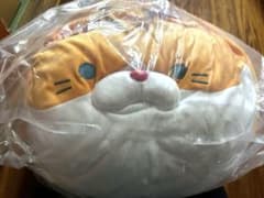 ごろねこサミット ごろねこ 超サミット スズキ BIGサイズ ねこ