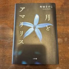 町田そのこ先生書籍　「月とアマリリス」のサムネイル