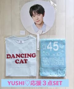 未開封新品NCTWISH 日本ツアーグッズ　ユウシ応援３点セット