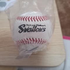 m16358234066_1.jpg?1736657062