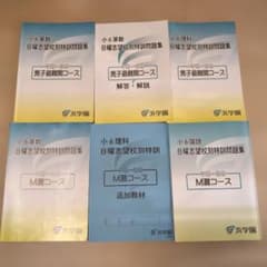 小6国語 日曜志望校別特訓問題集 M難コース - メルカリ