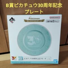 포켓몬 이치 반 쿠지 포켓 몬스터 B상 피카츄 30주년 기념 플레이트