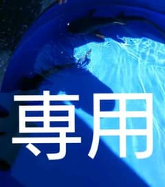 まいぞうsrさま 中学受験を9割成功に導く「母親力」のサムネイル