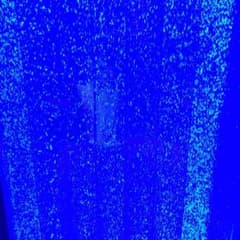 さやちゃん様 専用のサムネイル